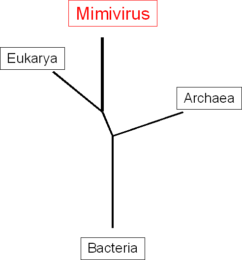 giantvirus org